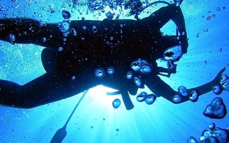 Underwater scenes with coral reefs, marine life, seaweed, and submerged ships.