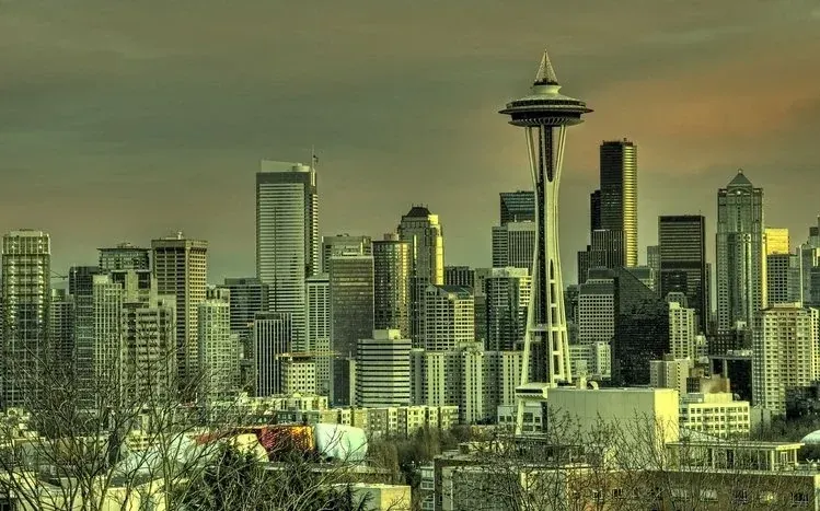 Seattle city views combining dark surroundings with city lights.