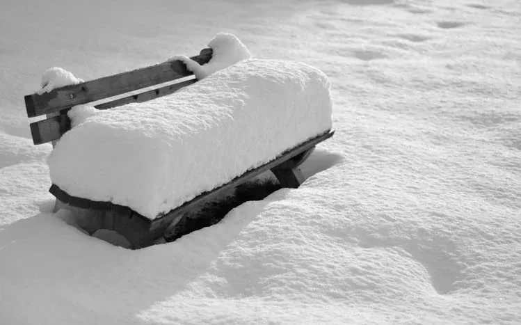Snow-themed nature wallpapers featuring snowy scenery.