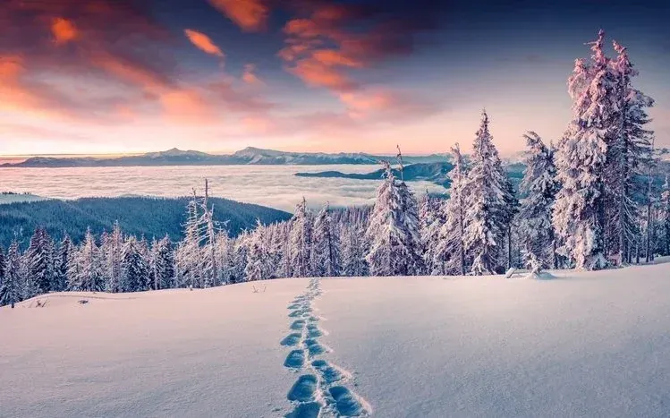 Preview of snow-covered landscapes from the Snowy Landscapes wallpaper collection.