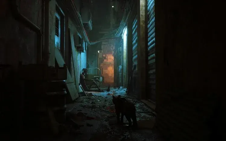 Stray wallpapers featuring the lone cat and its vibrant futuristic city surroundings.