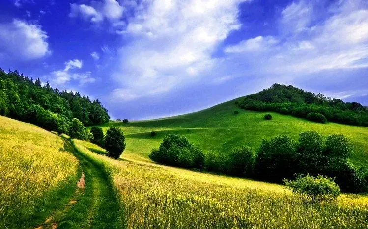 Colorful summer landscapes shown in bright daytime conditions.