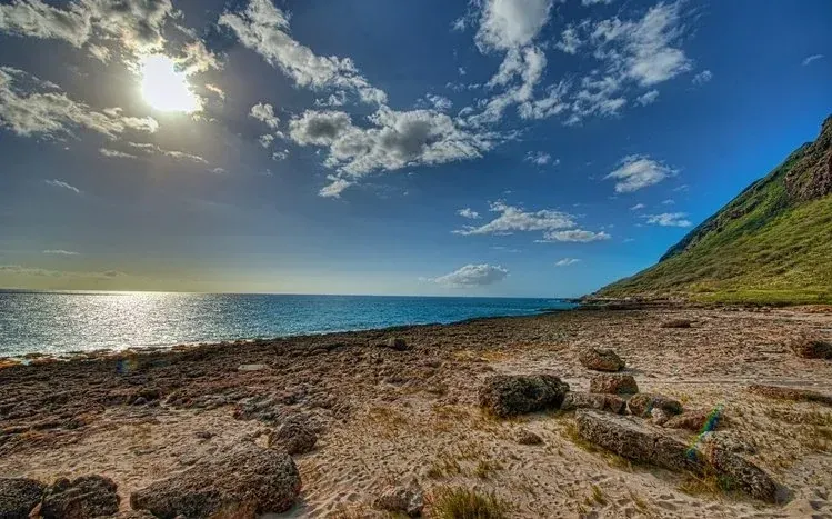 Summer-themed wallpaper with bright sunshine on one side of the screen.