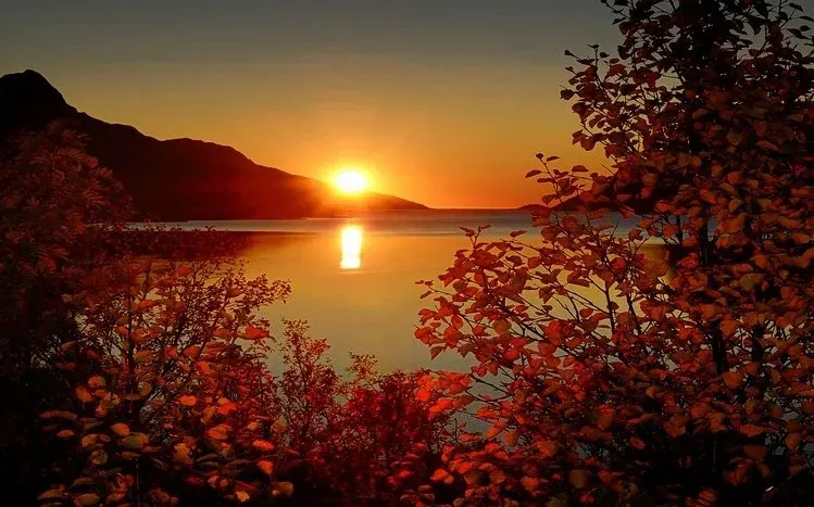 Nature wallpapers focused on sunrise.