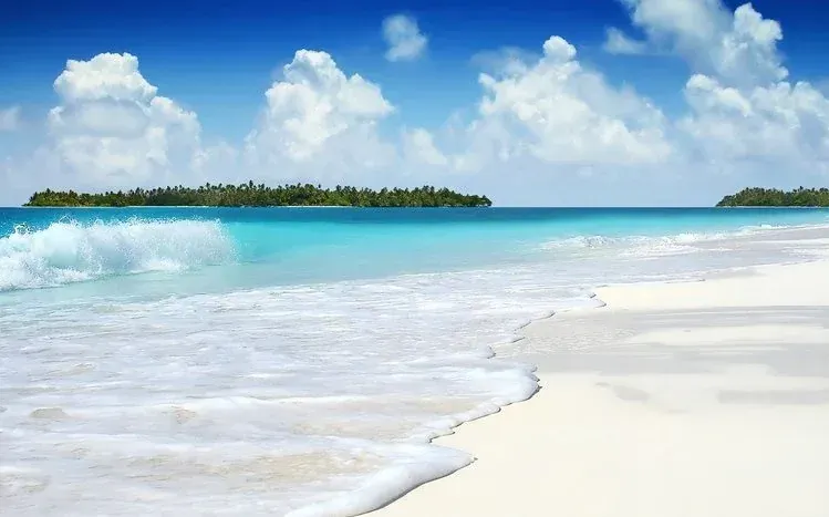 Tropical summer imagery associated with waterside leisure and the seashore.