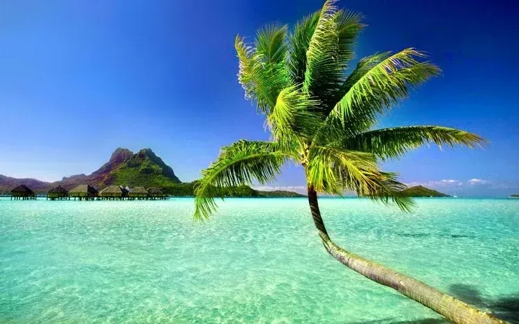 Seventeen tropical scenery wallpapers with a warm-weather vacation theme.