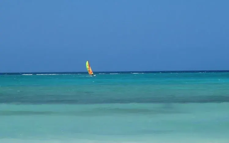 Windsurfing scenes showing the wind-powered board-and-sail sport on the water.