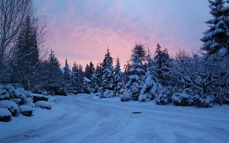 Winter scenery with white tones, blue sky, and orange sunlight behind trees.