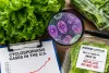 U.S. Cyclosporiasis Cases Reach 15,716, More Than 13 Times Last Year’s Seasonal Count, as a Lettuce Linked Outbreak Begins to Slow