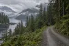 Misty coastal rainforest and a gravel road in Southeast Alaska