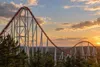 Unbranded steel roller coaster track above pine trees at sunset