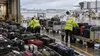 Airport ground workers sort delayed suitcases onto baggage carts beside a rain-wet aircraft ramp.