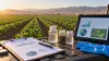 Illustrative California crop rows with unlabeled sampling supplies and a tablet displaying abstract data charts.