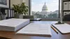 Blank census-style forms and a clipboard sit on a government office desk with the U.S. Capitol softly out of focus beyond a window.