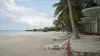 Empty lounge chairs beside a quiet Cuban beach resort in soft natural morning light