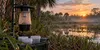 Illustrative mosquito surveillance equipment beside a subtropical Florida wetland at dawn.