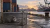 Illustration of a humane wildlife trap holding an opossum in a Honolulu Harbor freight yard.