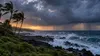 Wind bends palm trees above rough surf along a volcanic Hawaiian coastline beneath dark storm clouds.