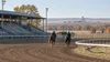 Two racehorses warming up on a rural Kansas dirt track beside an empty grandstand