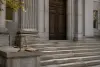 Empty stone courthouse steps and closed doors in late-afternoon light, with a brass balance scale beside a folded legal file.