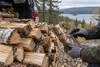 Gloved hands inspect split firewood beside a vehicle at the edge of a northern forest.