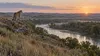Mountain lion on a rocky rise above Nebraska's Niobrara River valley at dawn