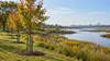 Illustrative view of newly planted trees and restored wetland habitat in a New Jersey community.