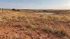 Parched Oklahoma pasture with cracked red soil, dry grass and an empty stock pond.