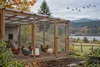 Healthy chickens inside a covered rural poultry run as migratory birds fly across an autumn Oregon sky.