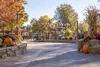 A family amusement-park walkway decorated with pumpkins, hay bales and autumn foliage near a small dry ride.