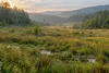 A sunlit seepage fen bordered by grassland and mixed forest on Tennessee’s Highland Rim.