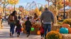 Illustrative family-friendly autumn amusement park midway with orange and teal pumpkins, a treat station and a distant roller-coaster silhouette.