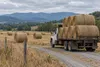 A flatbed truck carrying round hay bales across a dry Virginia farm beneath the Blue Ridge.