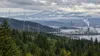 Evergreen forest, power lines and industrial facilities in a Pacific Northwest landscape beneath an overcast sky.