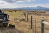 Cattle behind a wire fence on Wyoming high plains with field veterinary equipment near an unmarked pickup.