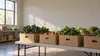 AI-generated editorial image of plain produce boxes in an unbranded community food distribution room.