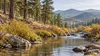 AI-generated editorial illustration of a generic Colorado foothill forest and watershed; not a photograph of a funded project or an active wildfire.