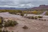 Illustrative view of a swollen muddy river overtopping its banks in a high-desert landscape
