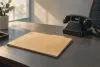 AI-generated conceptual illustration of an unmarked folder and desk telephone; not Celia Loya, her home or evidence in the case.
