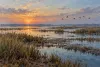 AI-generated conceptual illustration of a wetland and distant ducks; not an actual Texas site or evidence of current conditions.