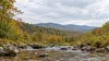 AI-generated editorial illustration of a generic forested Blue Ridge mountain landscape and clear stream; not an actual view of Buffalo Mountain or a documented acquisition site.