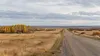 AI-generated illustrative view of autumn prairie fields, yellow aspens and a rural road in an Alberta-like landscape; not a photograph of the referendum.