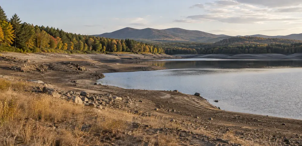 A low reservoir bordered by dry grass and autumn forest in New Hampshire