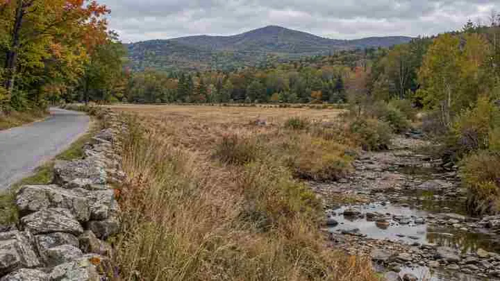 Low water in a rocky stream beside a dry field and early autumn forest in rural New Hampshire