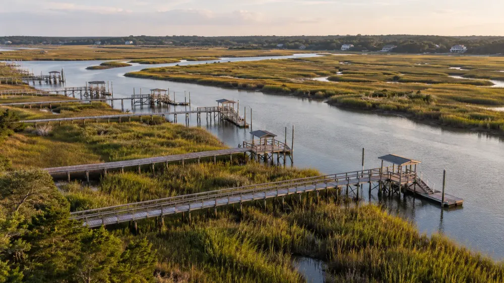 Editorial illustration of private wooden docks crossing South Carolina salt marsh toward a tidal creek.