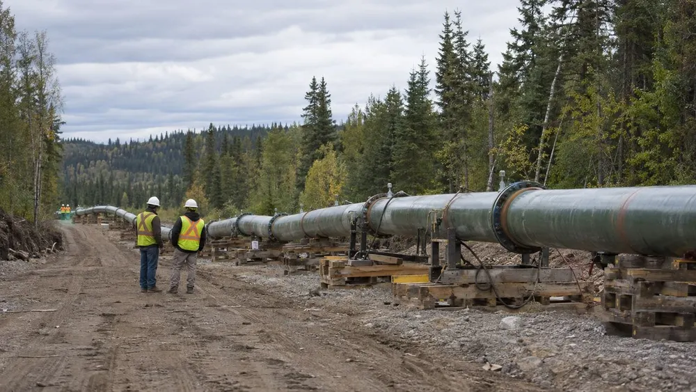 Illustration of a temporary pipeline bypass under inspection in a forested work corridor.