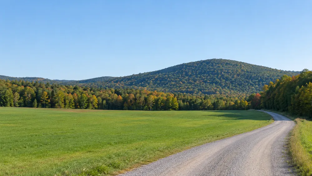Illustrative Vermont farm field and forested hill with a repaired gravel access lane after past weather damage