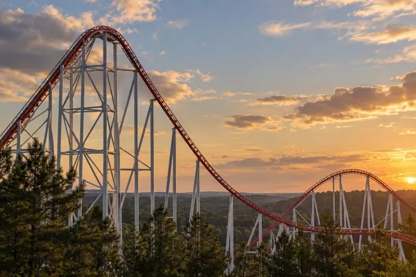 Unbranded steel roller coaster track above pine trees at sunset