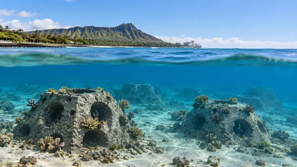Isang naglalarawang tanawin ng mga butas-butas na istruktura ng bahura at mga batang korales sa baybayin ng Hawaiʻi.