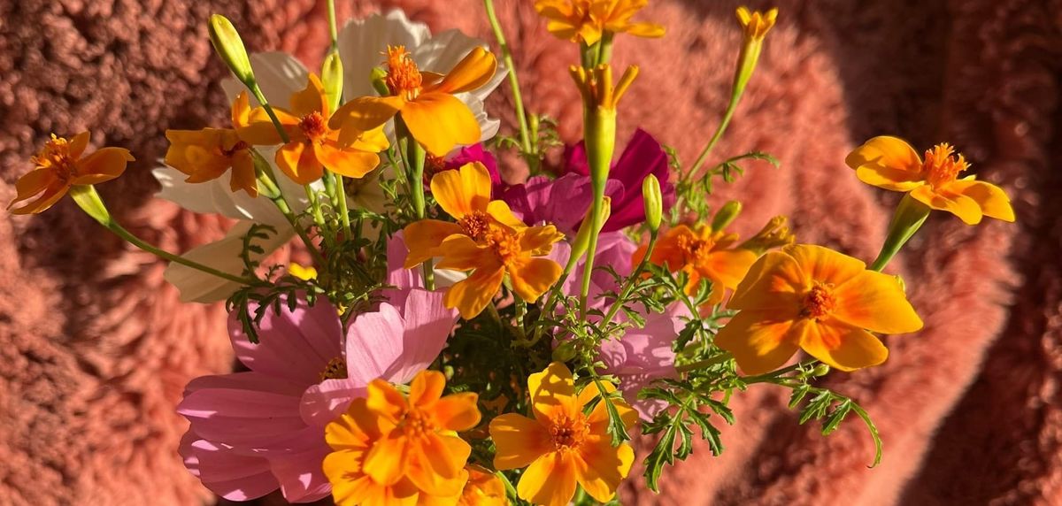Close up shot of a bouquet of orange and pink flowers.